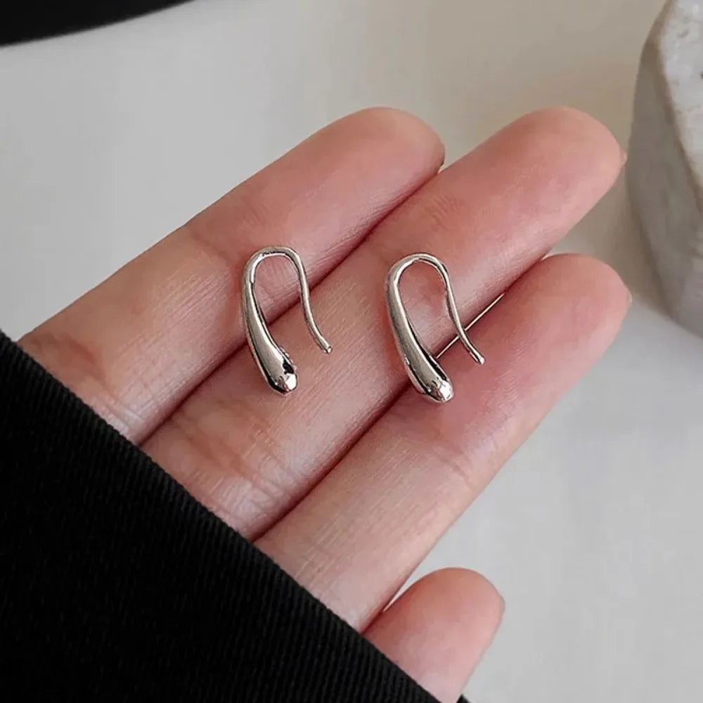 Silver Water Drop Shape Earrings