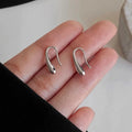 Silver Water Drop Shape Earrings